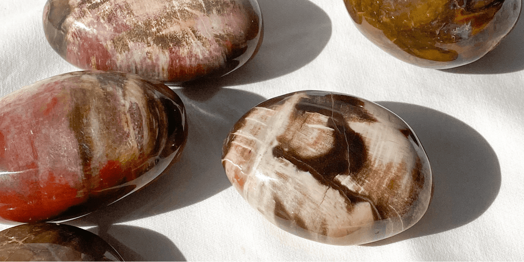 Spotlight on | Petrified Wood - Unearthed Crystals