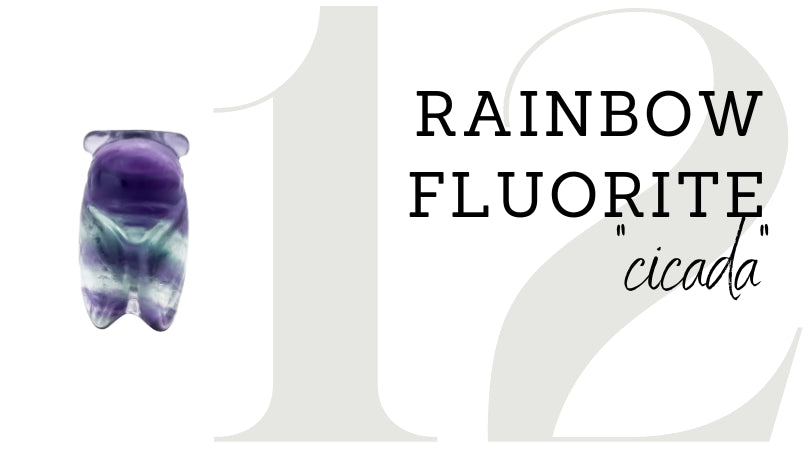 DAY 12 | Rainbow Fluorite Cicada