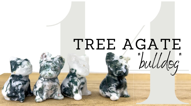 DAY 14 | Tree Agate Bulldog