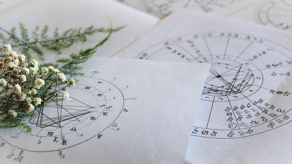 Astrology Natal Charts for Dummies