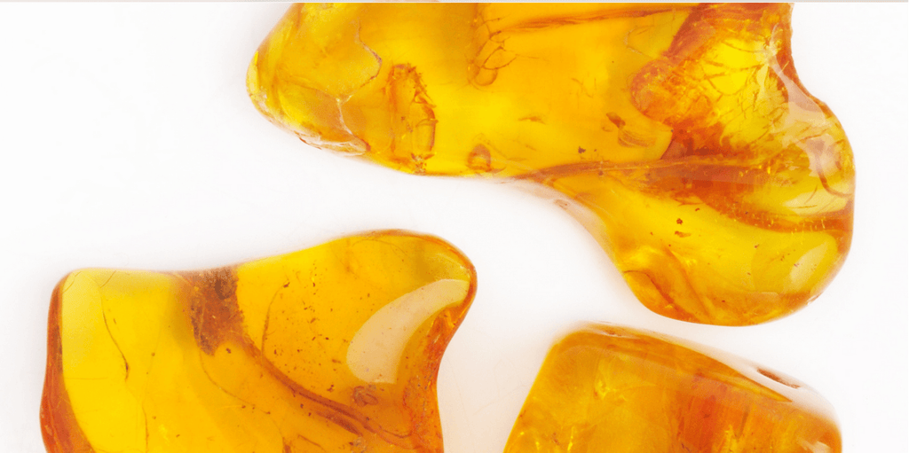 Spotlight on | Amber - Unearthed Crystals