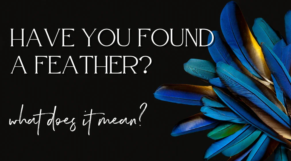 Have you found a feather?