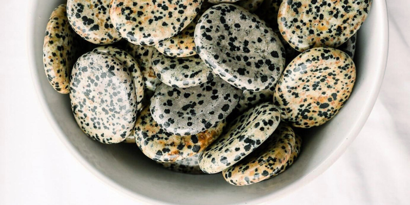 Dalmatian Jasper