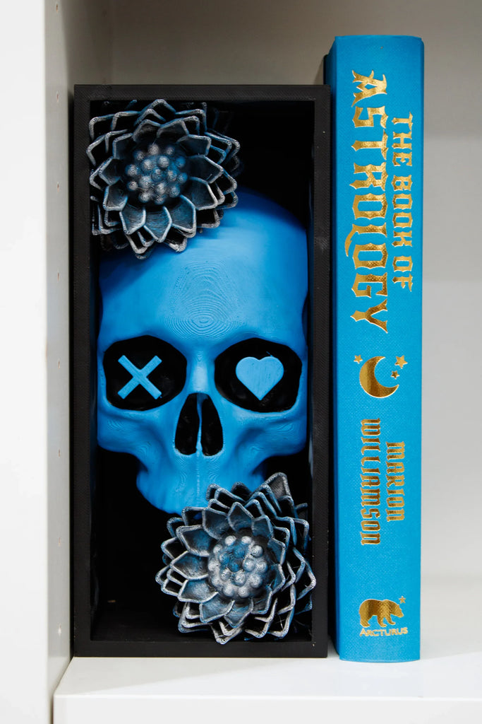Blue skull with decorative elements next to a book titled 'The Book of Astrology' on a shelf.