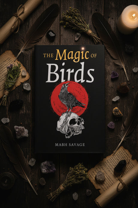 The book cover of 'The Magic of Birds' by Mabh Savage, featuring a black background with a large red circle, a black bird perched on a white skull, and the title in gold and white lettering.