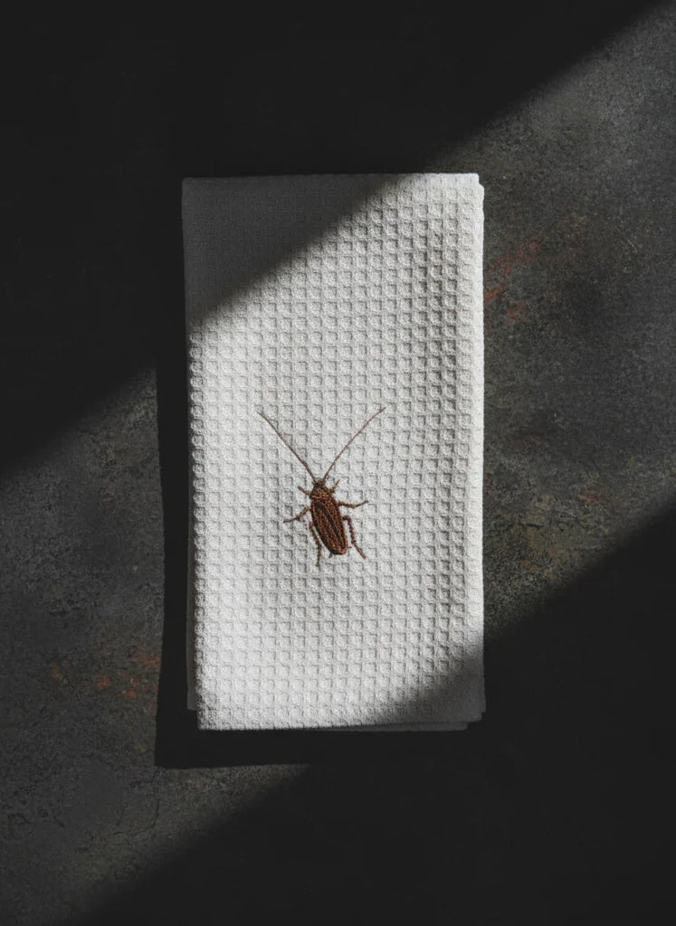 Small insect on a white textured surface with a dark background