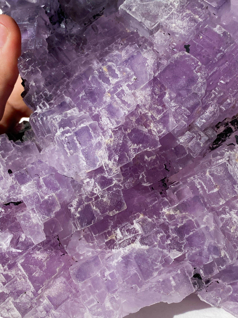 Purple Fluorite Cluster - Unearthed Crystals