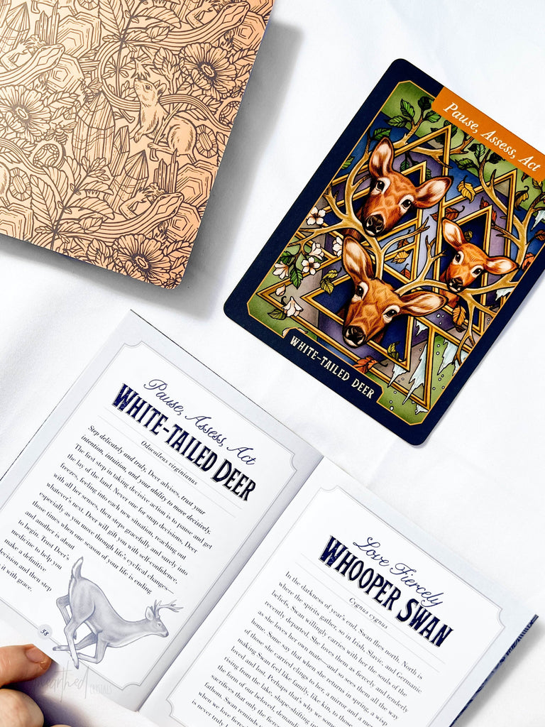 Illustrated Bestiary Oracle Cards - Unearthed Crystals