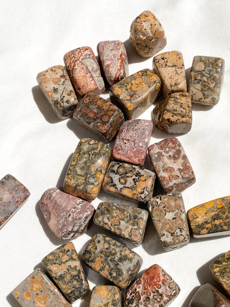 Leopardskin Jasper Tumbles | Medium - Unearthed Crystals