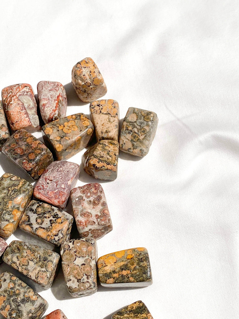 Leopardskin Jasper Tumbles | Medium - Unearthed Crystals