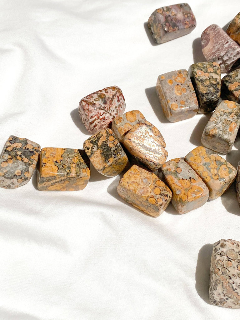 Leopardskin Jasper Tumbles | Medium - Unearthed Crystals