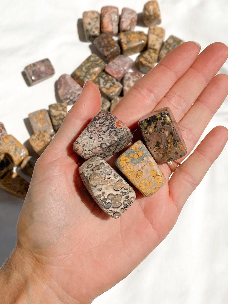 Leopardskin Jasper Tumbles | Medium - Unearthed Crystals