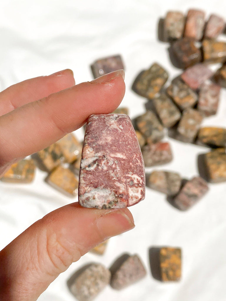 Leopardskin Jasper Tumbles | Medium - Unearthed Crystals