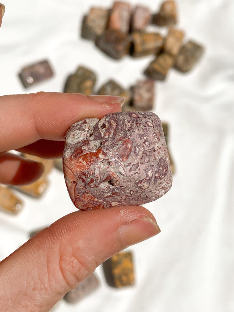 Leopardskin Jasper Tumbles | Medium - Unearthed Crystals