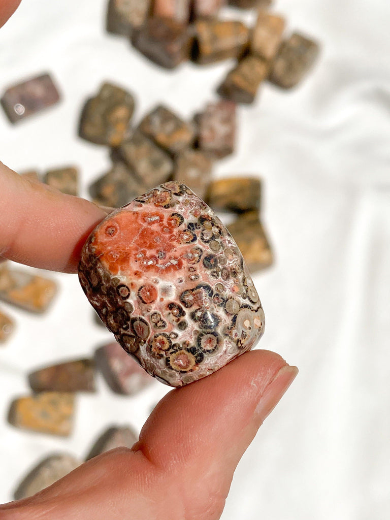 Leopardskin Jasper Tumbles | Medium - Unearthed Crystals