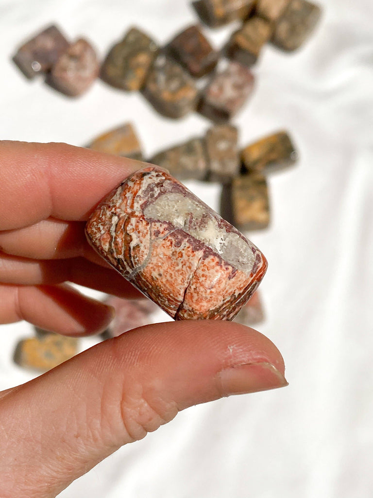 Leopardskin Jasper Tumbles | Medium - Unearthed Crystals