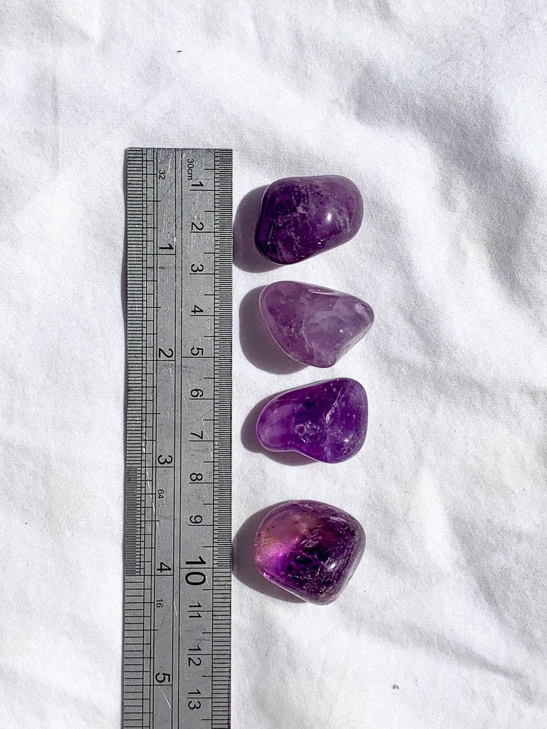 Amethyst Tumbles | Small - Unearthed Crystals