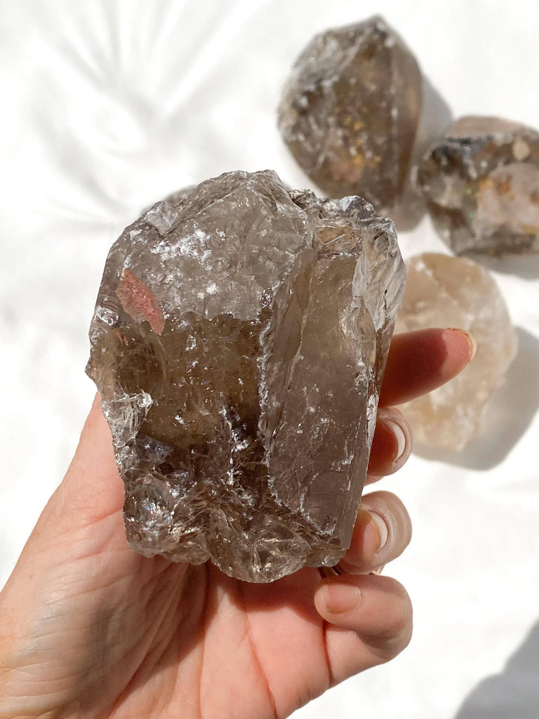 Smokey Quartz Rough | XXL - Unearthed Crystals
