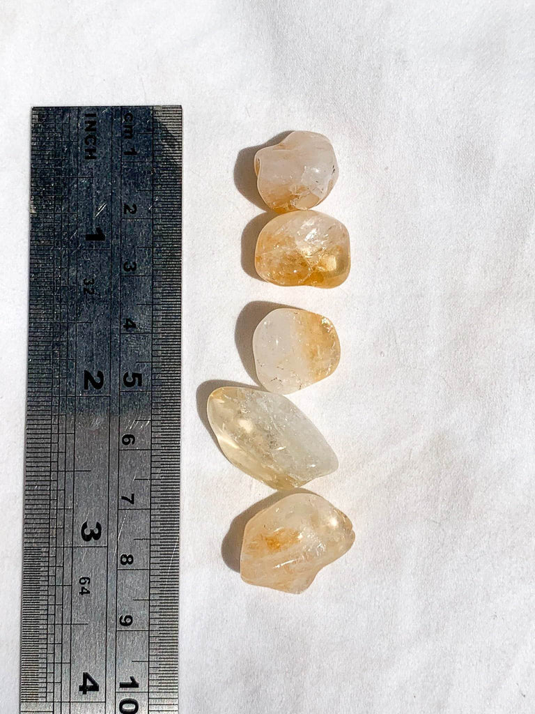Citrine (Heat Treated) Tumbles | Mini | Pack of 5 - Unearthed Crystals