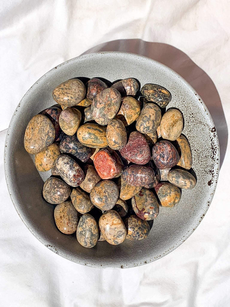 Leopardskin Jasper Tumbles | Small - Unearthed Crystals