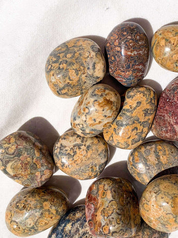 Leopardskin Jasper Tumbles | Small - Unearthed Crystals