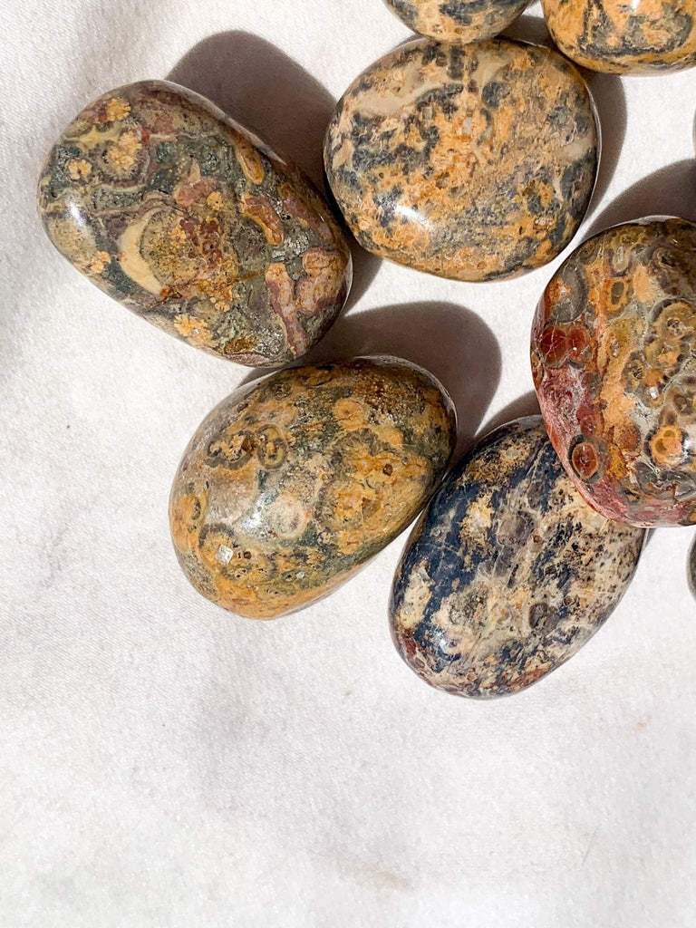 Leopardskin Jasper Tumbles | Small - Unearthed Crystals