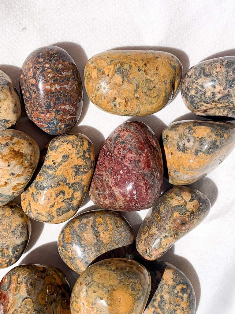 Leopardskin Jasper Tumbles | Small - Unearthed Crystals