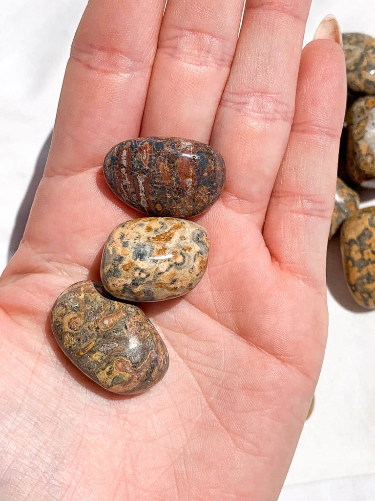 Leopardskin Jasper Tumbles | Small - Unearthed Crystals