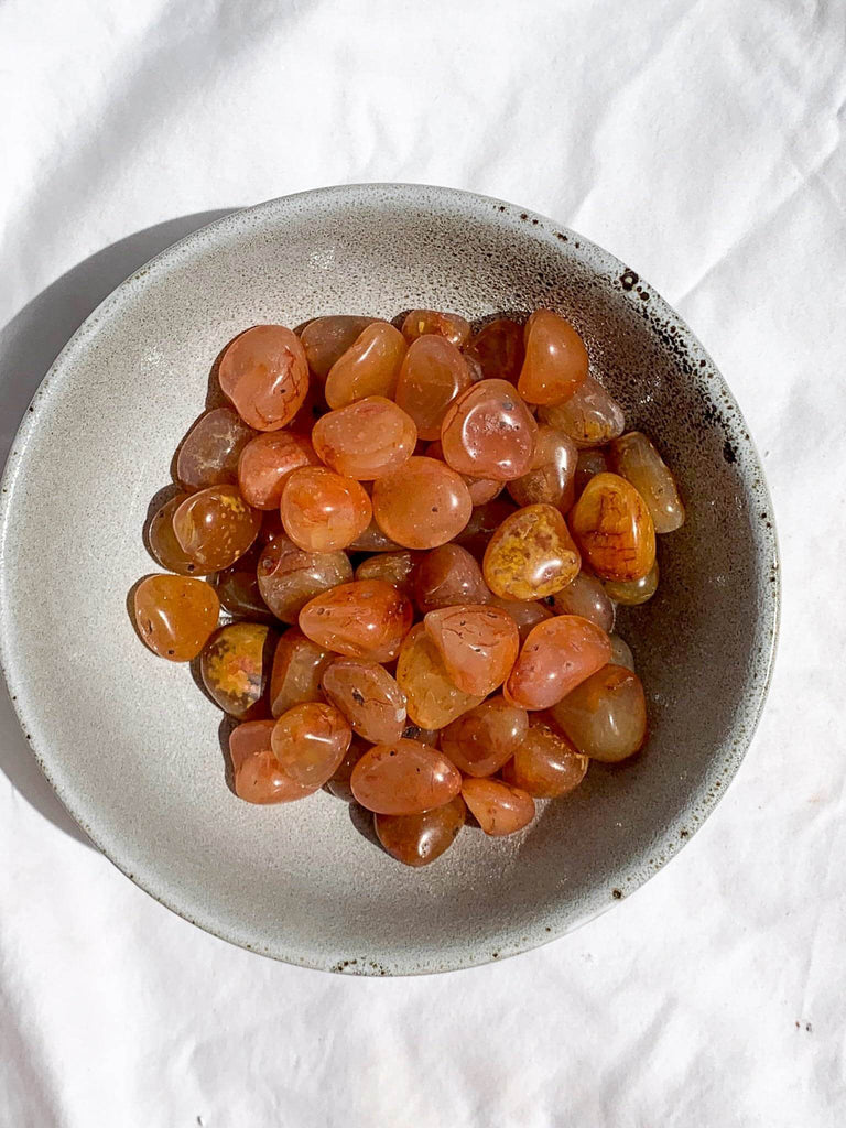 Carnelian Tumbles | Small - Unearthed Crystals