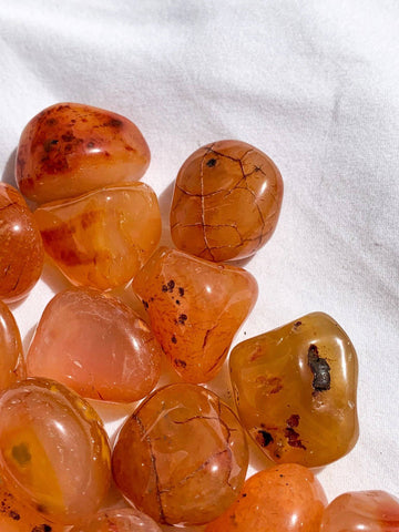 Carnelian Tumbles | Small - Unearthed Crystals