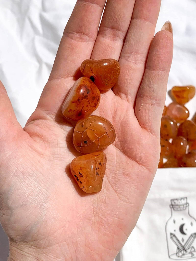 Carnelian Tumbles | Small - Unearthed Crystals