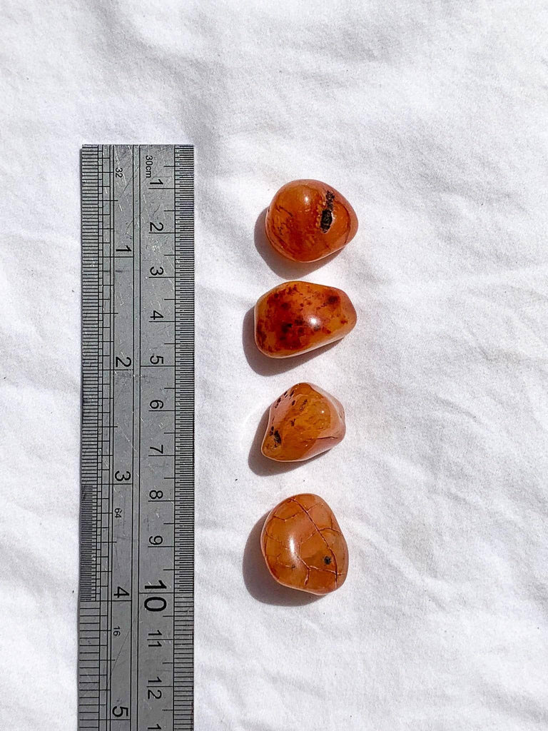 Carnelian Tumbles | Small - Unearthed Crystals