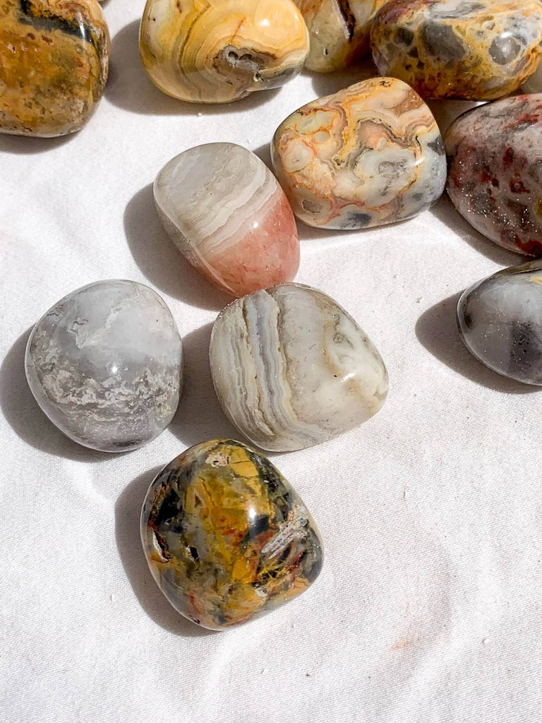 Crazy Lace Agate Tumbles | Small - Unearthed Crystals