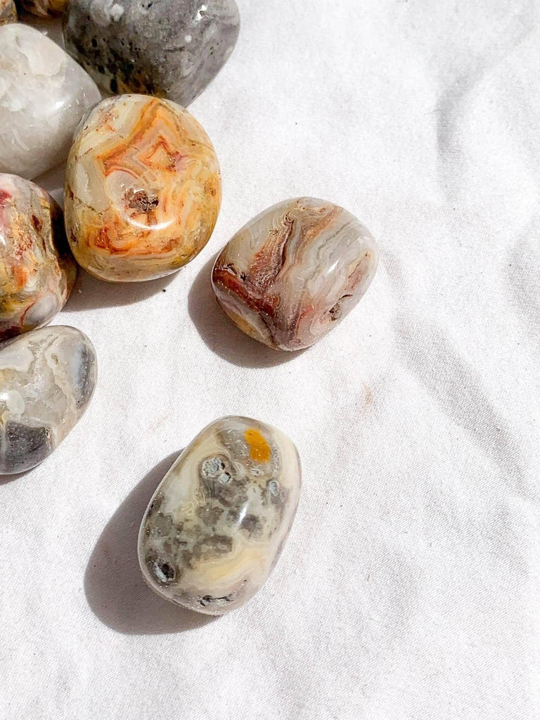 Crazy Lace Agate Tumbles | Small - Unearthed Crystals