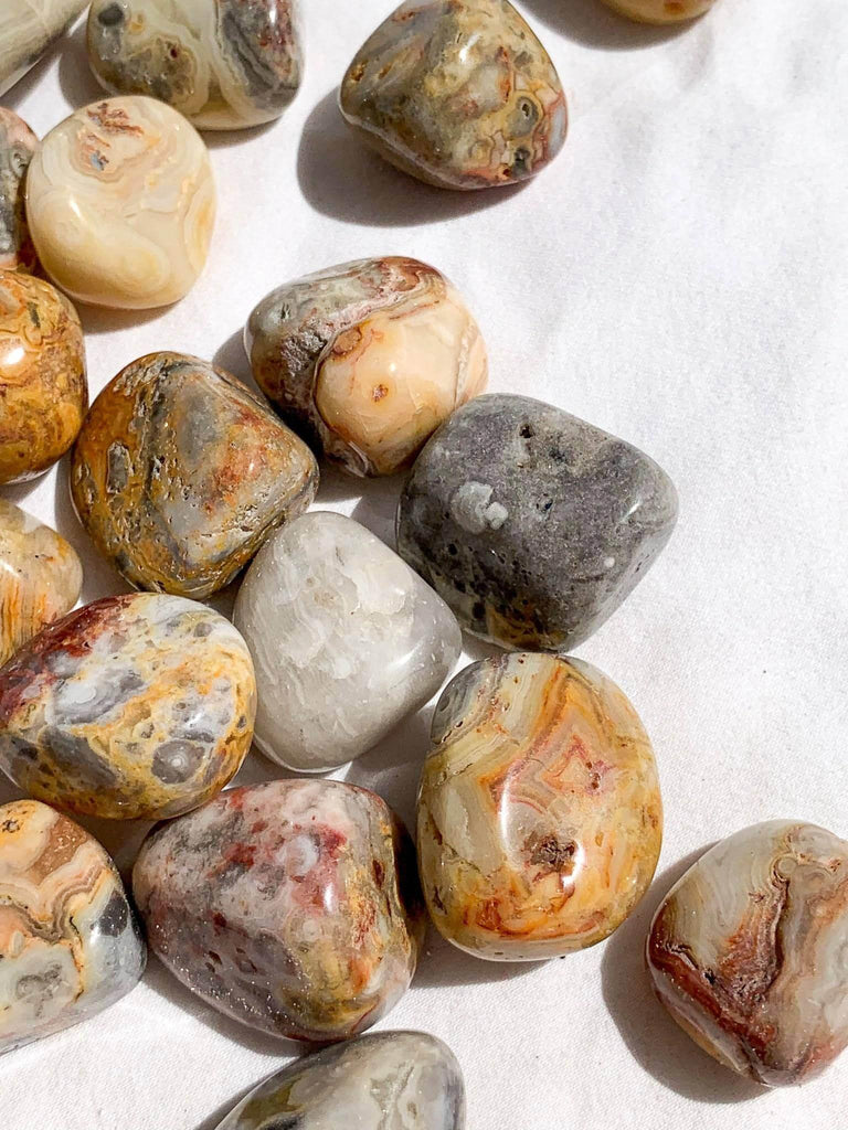 Crazy Lace Agate Tumbles | Small - Unearthed Crystals