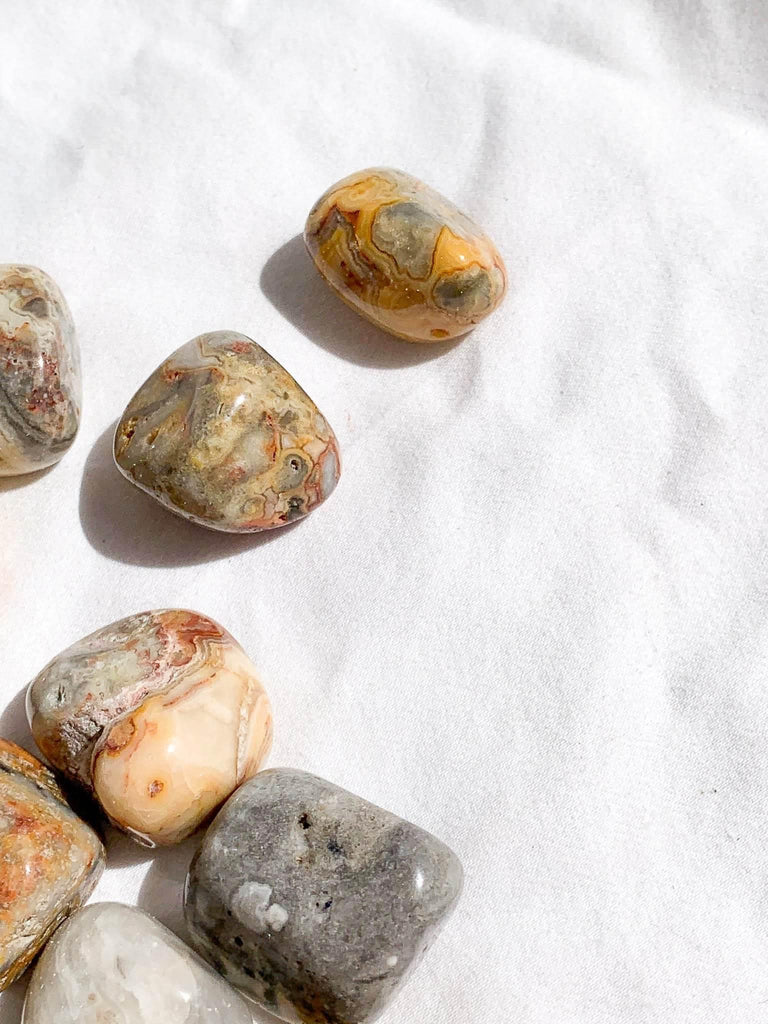 Crazy Lace Agate Tumbles | Small - Unearthed Crystals
