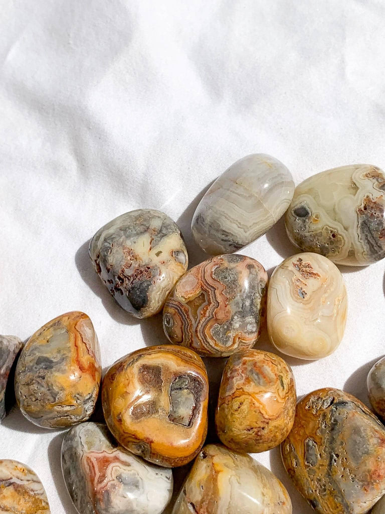 Crazy Lace Agate Tumbles | Small - Unearthed Crystals