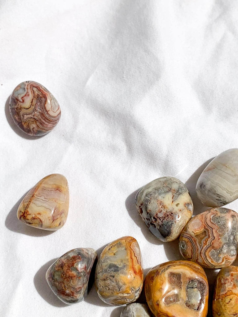 Crazy Lace Agate Tumbles | Small - Unearthed Crystals
