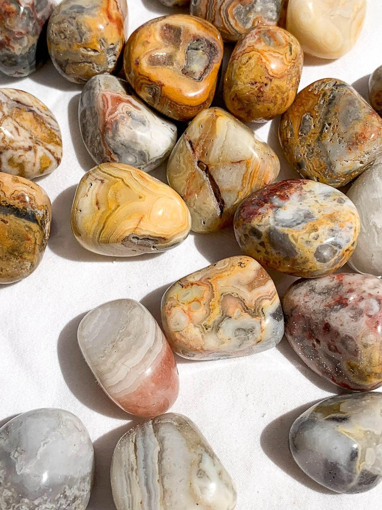Crazy Lace Agate Tumbles | Small - Unearthed Crystals
