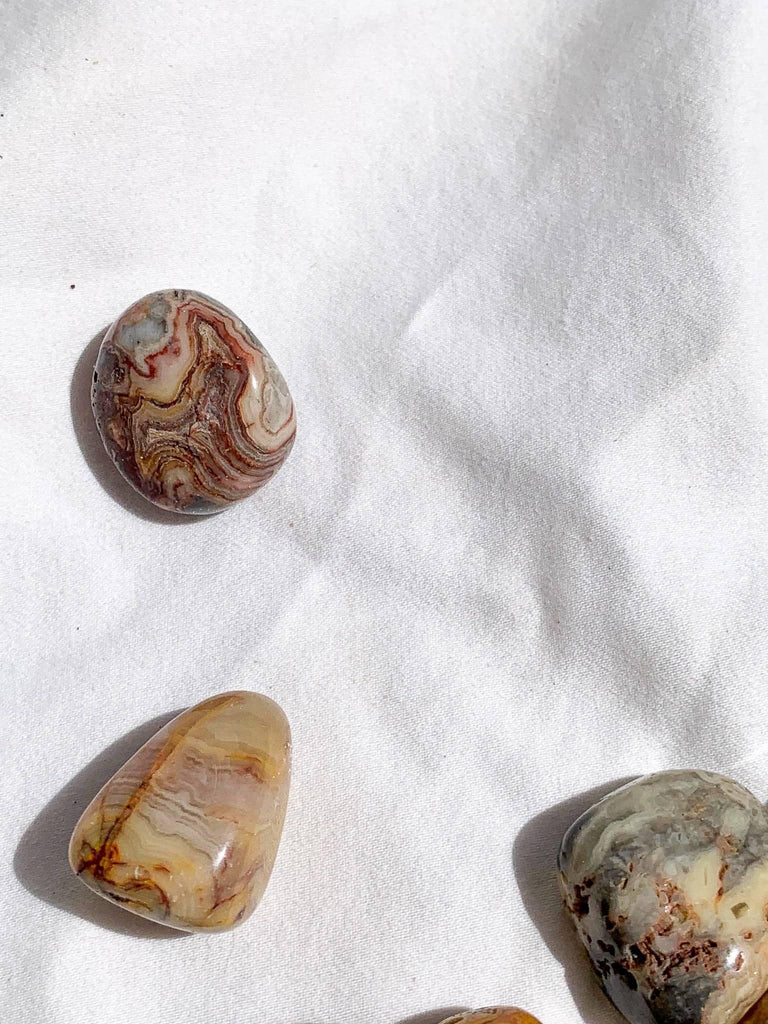Crazy Lace Agate Tumbles | Small - Unearthed Crystals