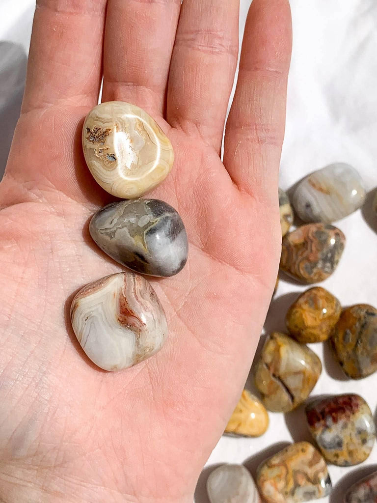 Crazy Lace Agate Tumbles | Small - Unearthed Crystals