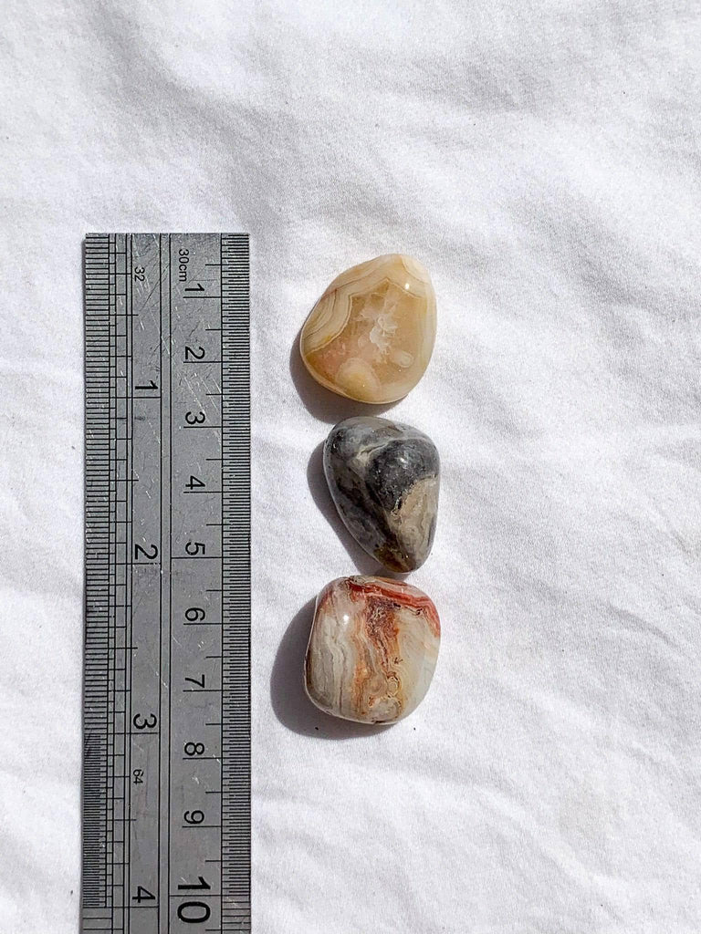 Crazy Lace Agate Tumbles | Small - Unearthed Crystals