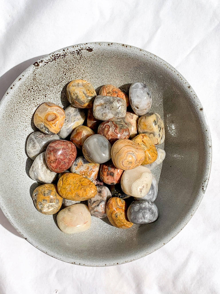 Crazy Lace Agate Tumbles | Medium - Unearthed Crystals