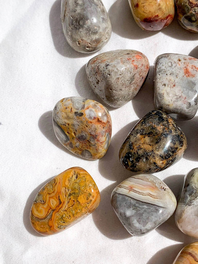 Crazy Lace Agate Tumbles | Medium - Unearthed Crystals