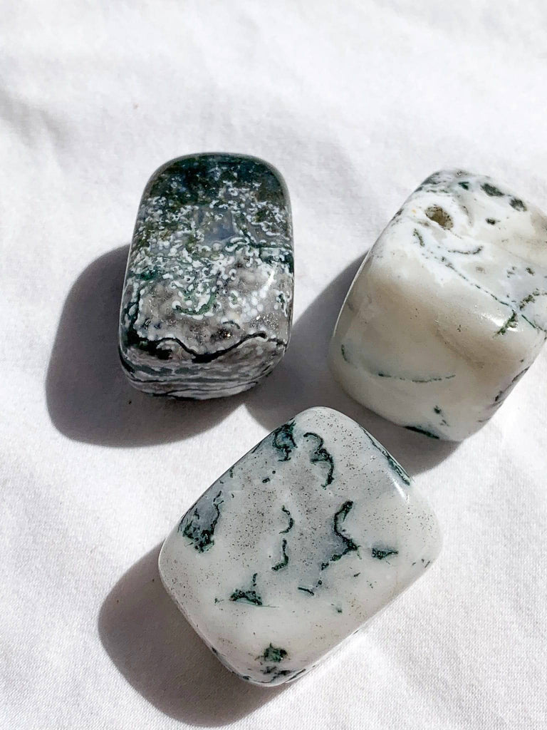 Tree Agate Tumbles | Large - Unearthed Crystals