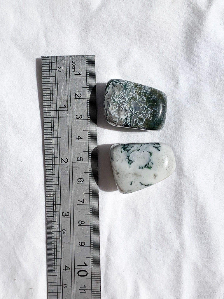 Tree Agate Tumbles | Large - Unearthed Crystals