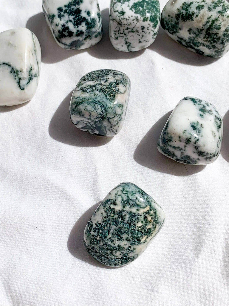 Tree Agate Tumbles | Medium - Unearthed Crystals