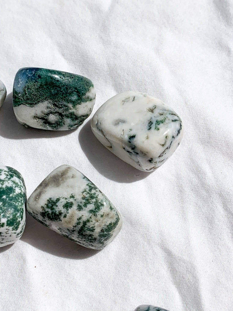 Tree Agate Tumbles | Medium - Unearthed Crystals