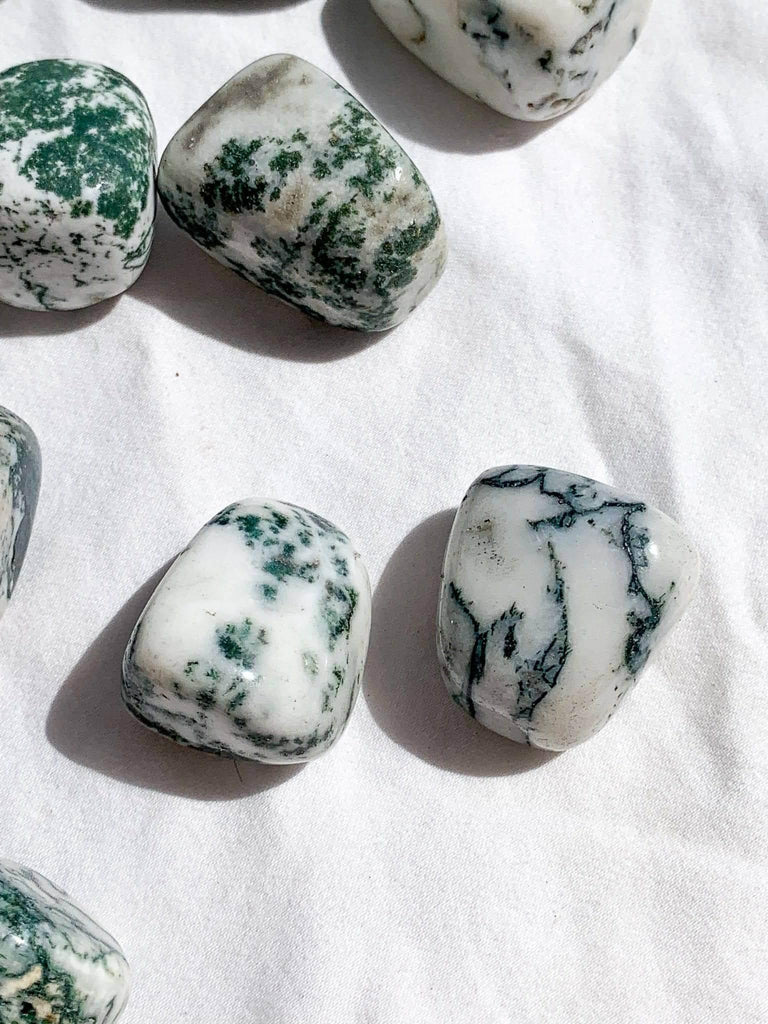 Tree Agate Tumbles | Medium - Unearthed Crystals