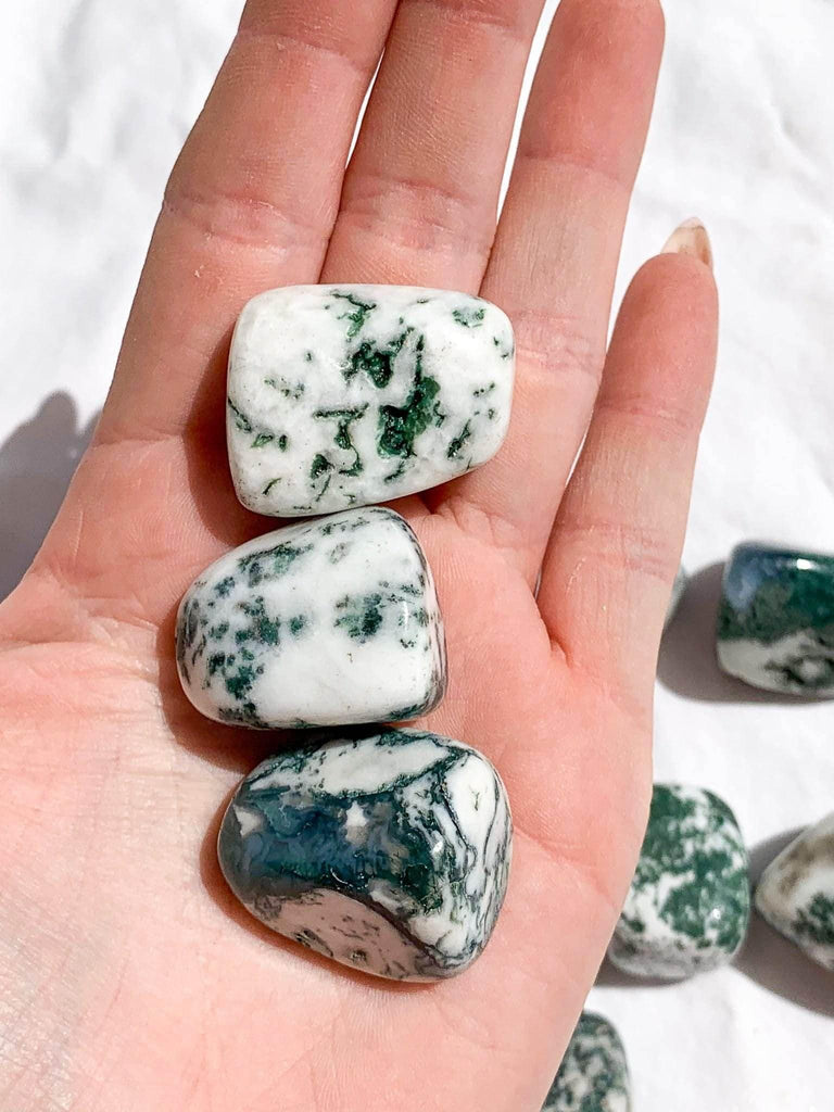 Tree Agate Tumbles | Medium - Unearthed Crystals